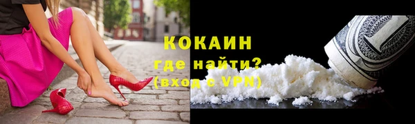 соль ск Алексин