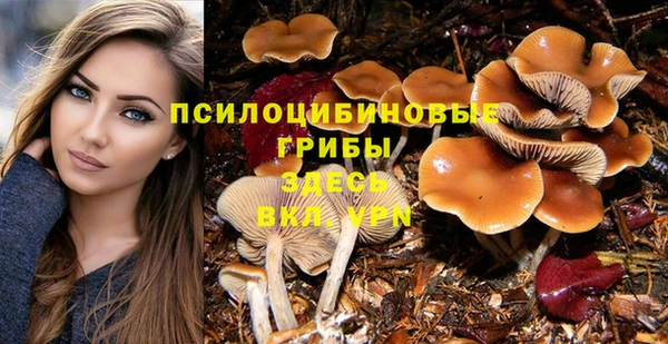 прущие грибы Семилуки