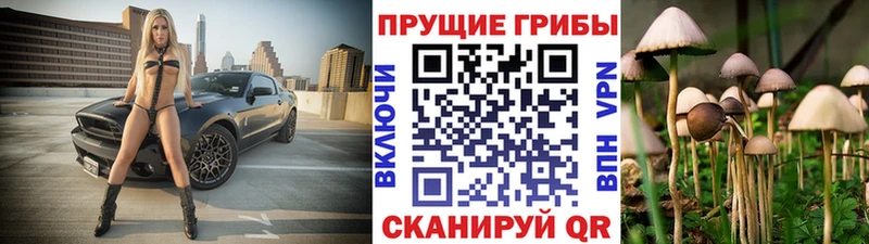 Галлюциногенные грибы ЛСД  Данилов 
